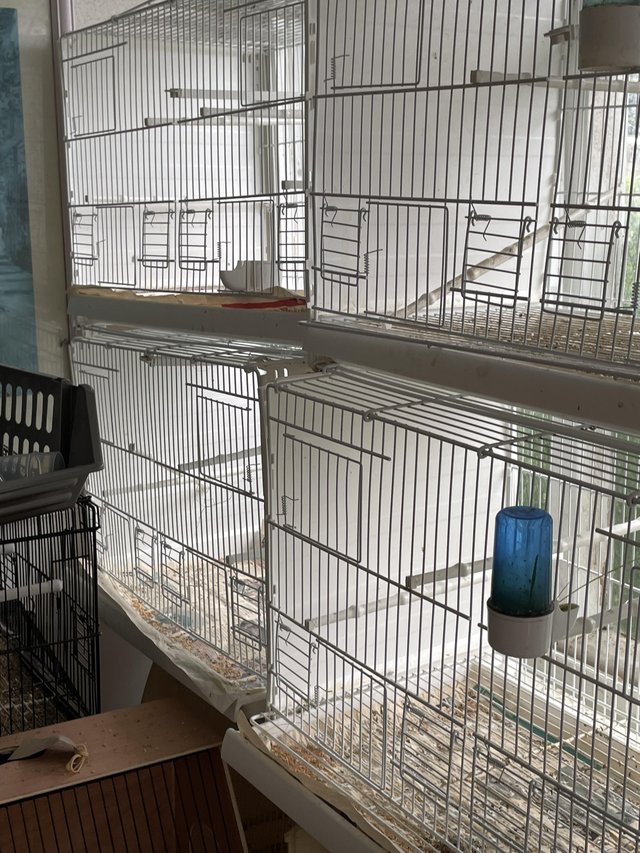 Preview of the first image of Plastic Breeding cages for sale.