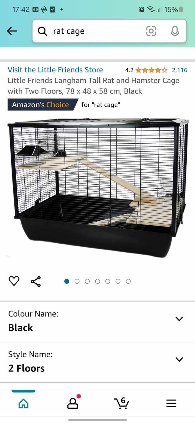 Preview of the first image of Female rat plus cage for sale.