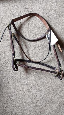 Image 6 of JEFFRIES HAVANA IN HAND SHOW BRIDLE 5/8" FULL NEW WITH TAG