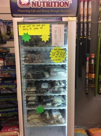 Image 7 of Warrington pets and exotics a fully stocked pet shop/store