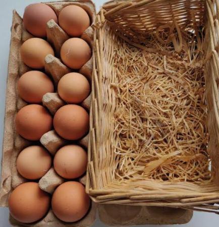 Image 4 of Mix Fertilized Chicken Eggs for sale