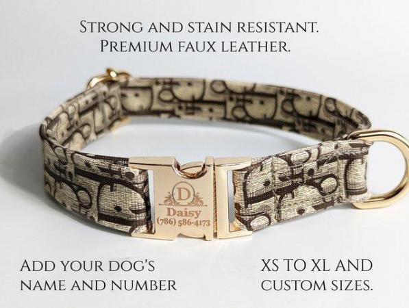 Image 3 of Louis Vuitton Dog Collar and Leash