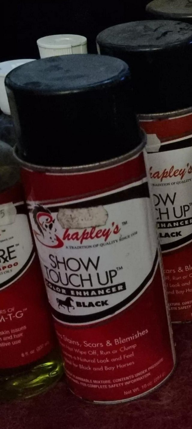 Preview of the first image of Shapleys Horse Show touch up colour enhance black.