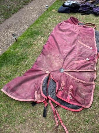 Image 3 of Job lot of horse rugs 6 foot 3 turn out 17 rugs bargain