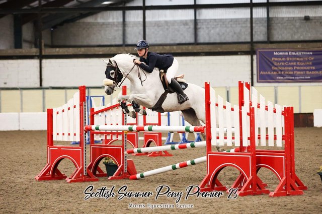 Image 2 of 14.1 showjumping pony for sale