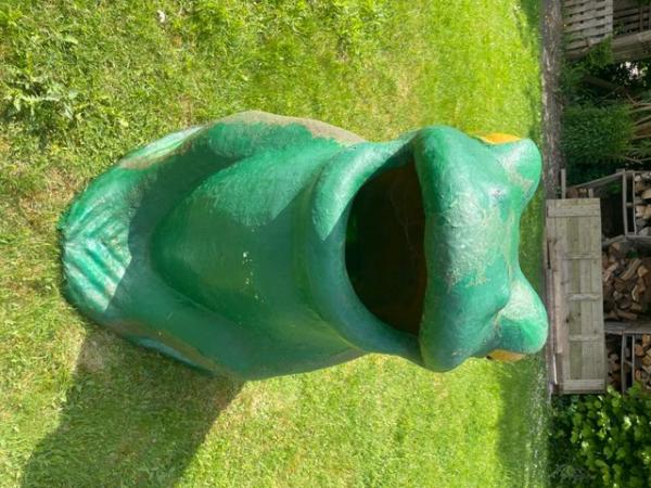 Image 1 of The BIG Green Frog - I eat litter