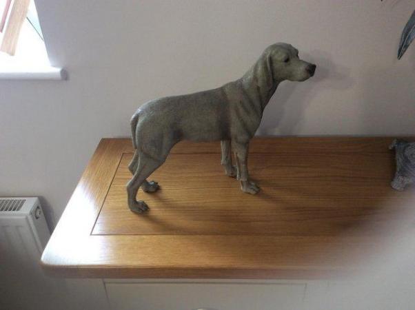 Image 2 of Weimaraner Ornament Standing dog