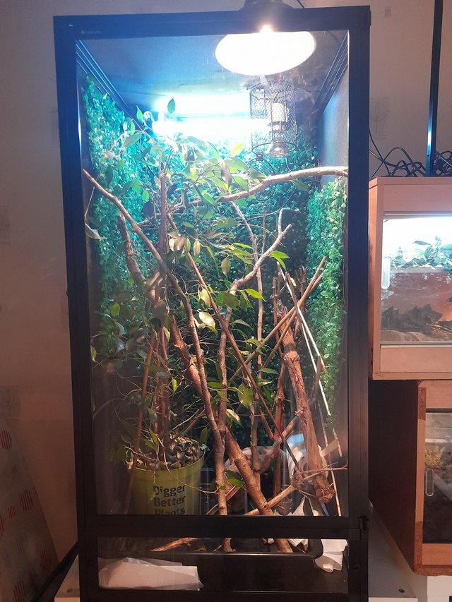Preview of the first image of Brand new Aboreal vivarium for sale.