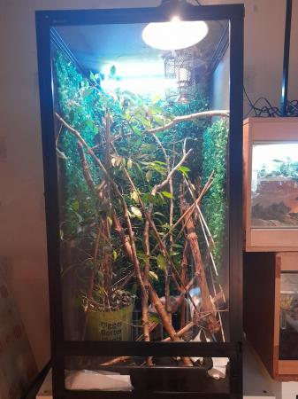 Image 1 of Brand new Aboreal vivarium for sale