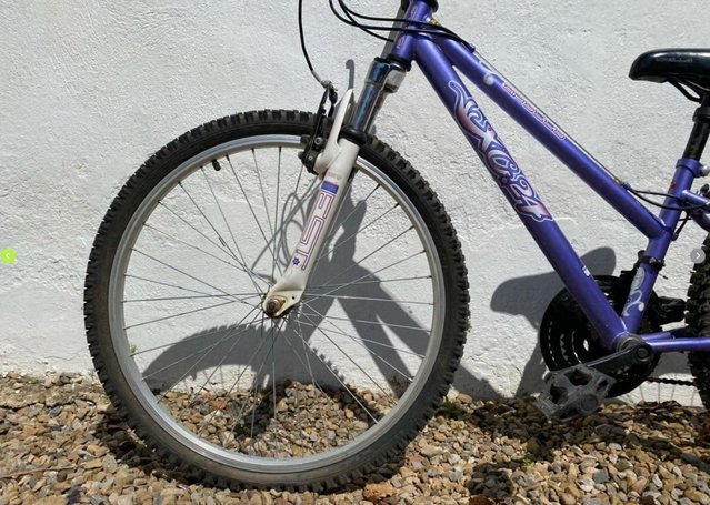 Apollo xc 24 mountain bike on sale