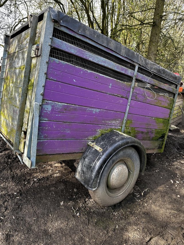 Preview of the first image of Small vintage stock trailer - suitable for sheep or pigs.