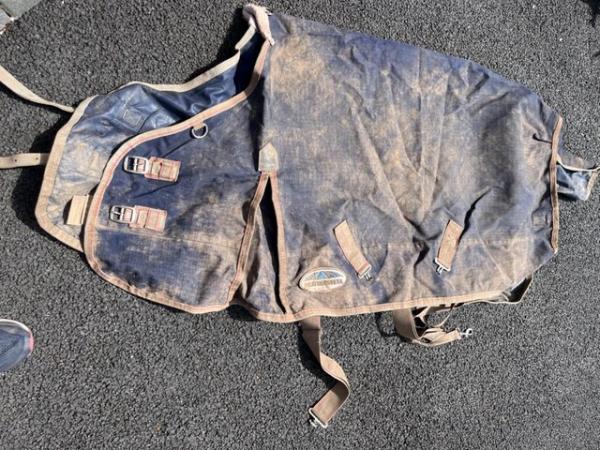 Image 1 of Pony Turnout Rugs 4’9” good condition