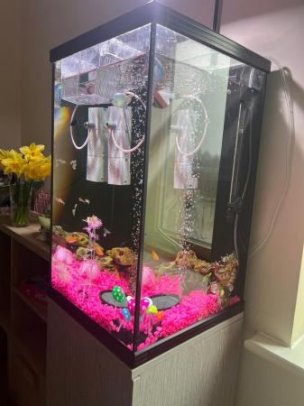 Image 2 of 80l tank with all accessories and fish