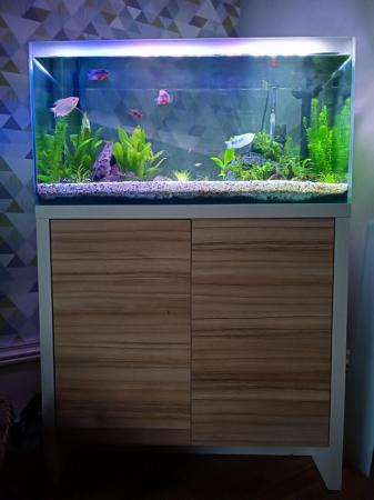 Image 1 of Fluval aquarium fish tank