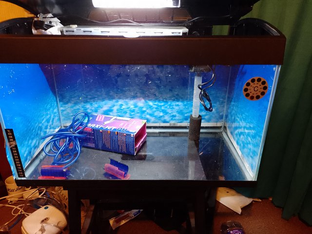 Preview of the first image of 54 litre fish tank with red and blue slides.