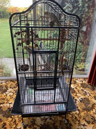 Image 4 of 2 x bird cages for sale.