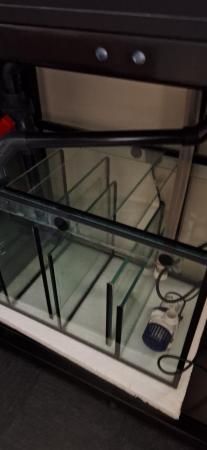 Image 12 of Bespoke Fish Tank / Aquarium, Sump & Stand Set-Up For Sale