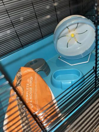 Image 6 of HAMSTER/MOUSE/GERBILCAGE READY NOW!