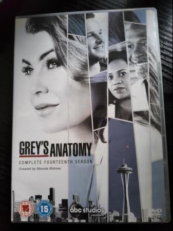 Image 1 of Grey's Anatomy Season 14 DVD