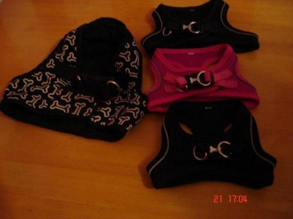 Image 5 of mix coloures dog harnesses all sizes