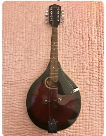 Image 3 of Wanted Mandolins in good condition