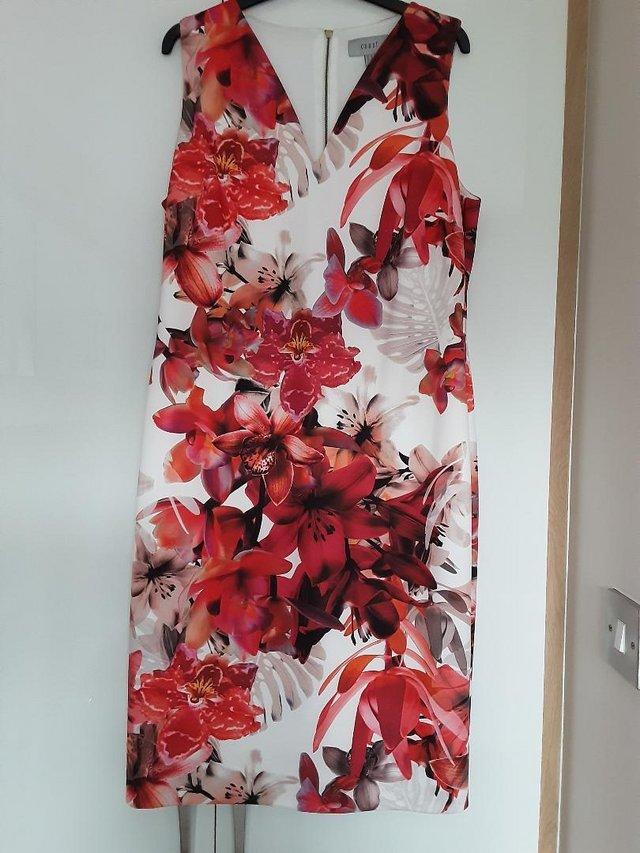 Preview of the first image of Floral Occasion Shift Dress. Coast. Size 18..