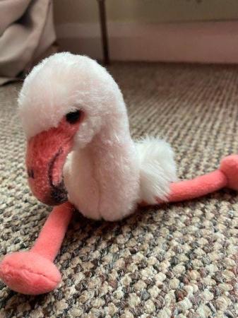 Image 2 of Cute Flamingo Beanie Baby Cuddly toy