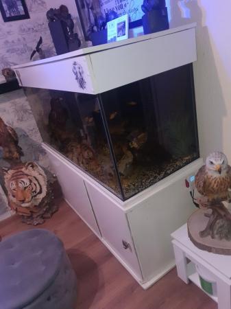 Image 4 of 5ft fish tank all included