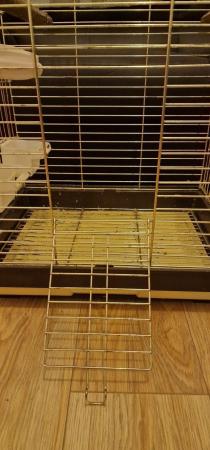 Image 4 of Cage of small bird or a bug one