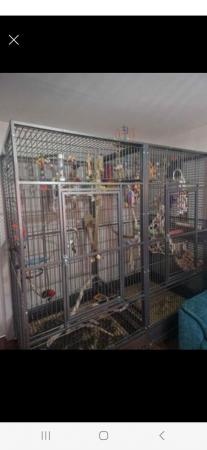 Image 3 of Nova2 parrot cage excellent condition