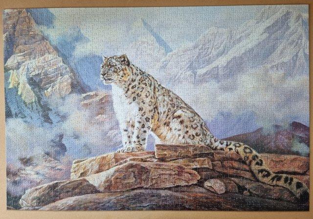 Image 2 of 1500 piece jigsaw by Jumbo called MOUNTAIN DOMAIN