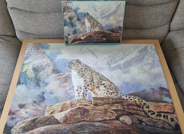 Preview of the first image of 1500 piece jigsaw by Jumbo called MOUNTAIN DOMAIN.