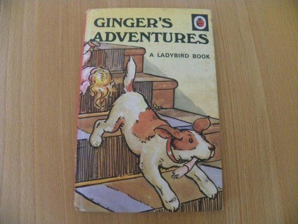 Image 1 of Ginger's Adventures