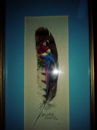 Image 2 of Parot painted on feather framed