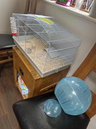 Image 5 of Syrian Hamster with cage and accessories