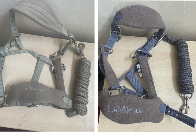 Preview of the first image of 2xs Lemeuix Headcollars.