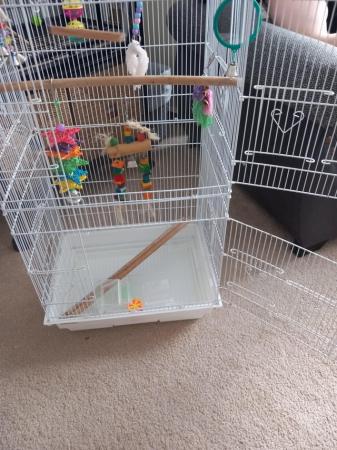 Image 2 of Bird cage comes with stand