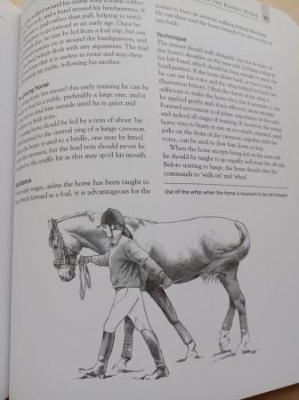 Image 5 of The BHS Manual of Equitation, the training of horse and ride