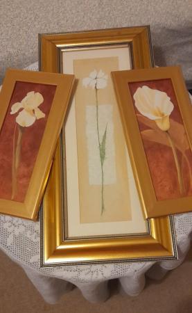 Image 1 of Three Gold Framed Pictures to compliment each other.