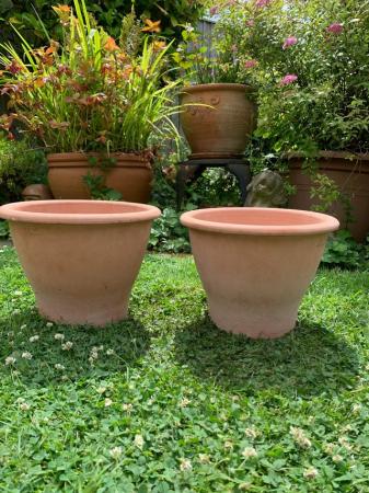 Image 1 of Pair of terracotta plant pots