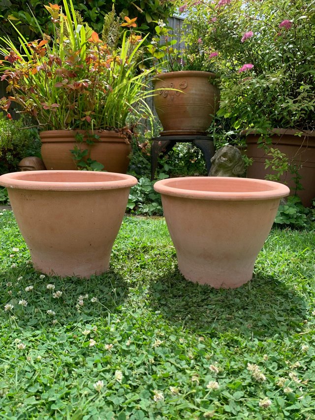 Preview of the first image of Pair of terracotta plant pots.