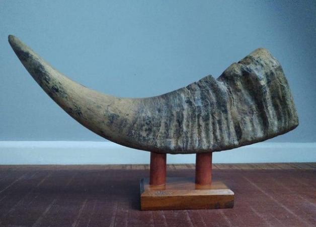 Image 3 of Large Vintage Mounted Buffalo Horn