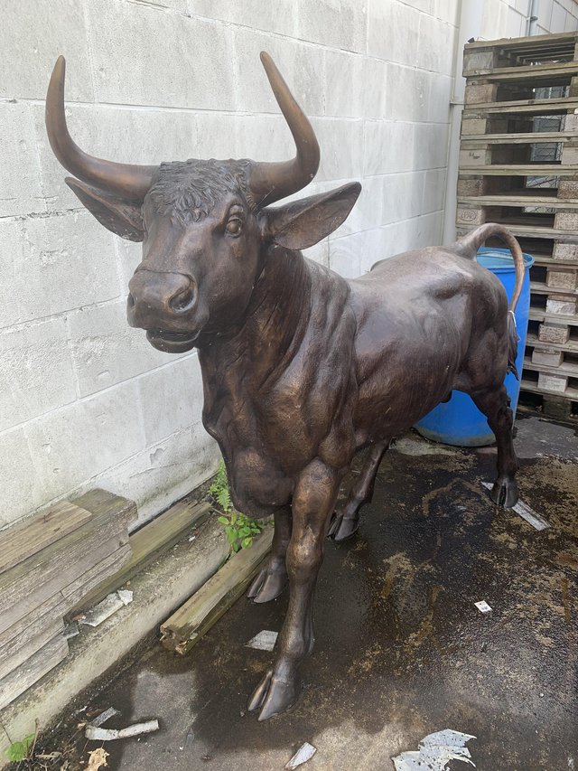 Preview of the first image of Life size bronze bull sculpture.