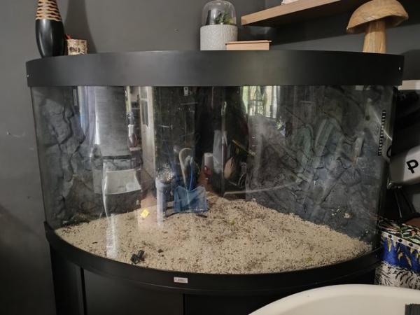 Image 2 of Large juwel corner fish tank with stand