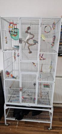 Image 5 of Budgies no longer available, cage only