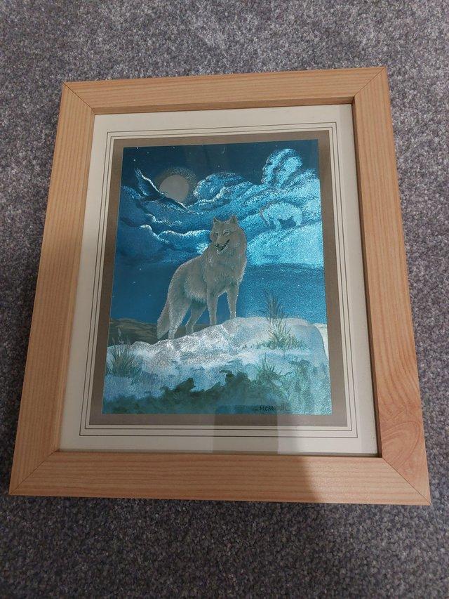 Preview of the first image of Framed picture- print of wolf by artist M Caroselli.