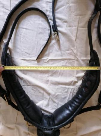 Image 3 of Leather driving harness for small pony ie 11hh +