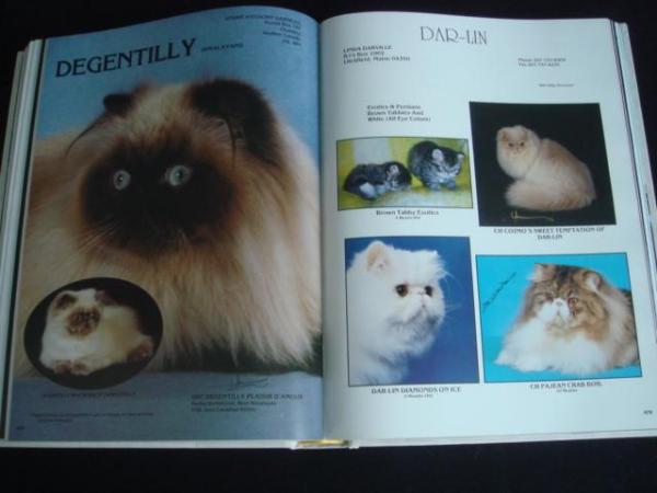 Image 3 of CFA (USA) Year Book Pedigree Show Cats GCCF Persian Siamese
