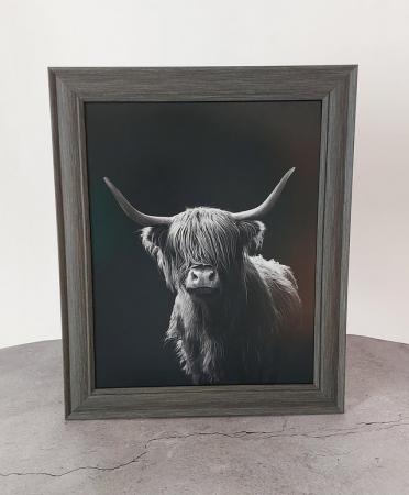 Image 2 of Lovely framed picture of a Highland Cow