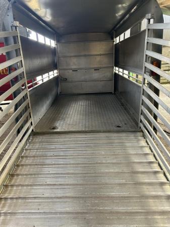 Image 3 of 2013 ifor Williams cattle trailer